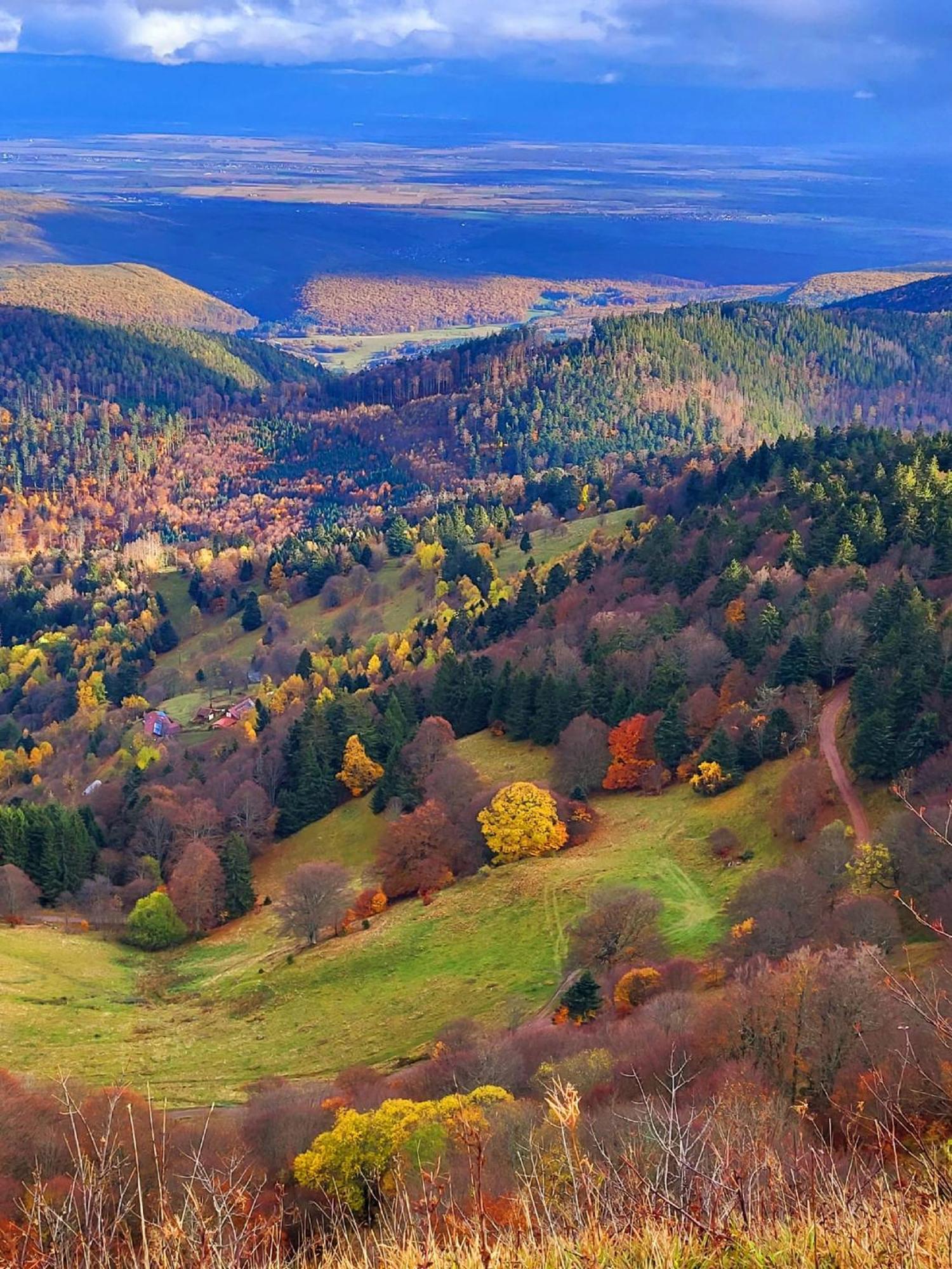 Le Panorama Du Murat Mulhouse Riedisheim 68 Haut-Rhin Alsace Saint-Louis Eksteriør bilde
